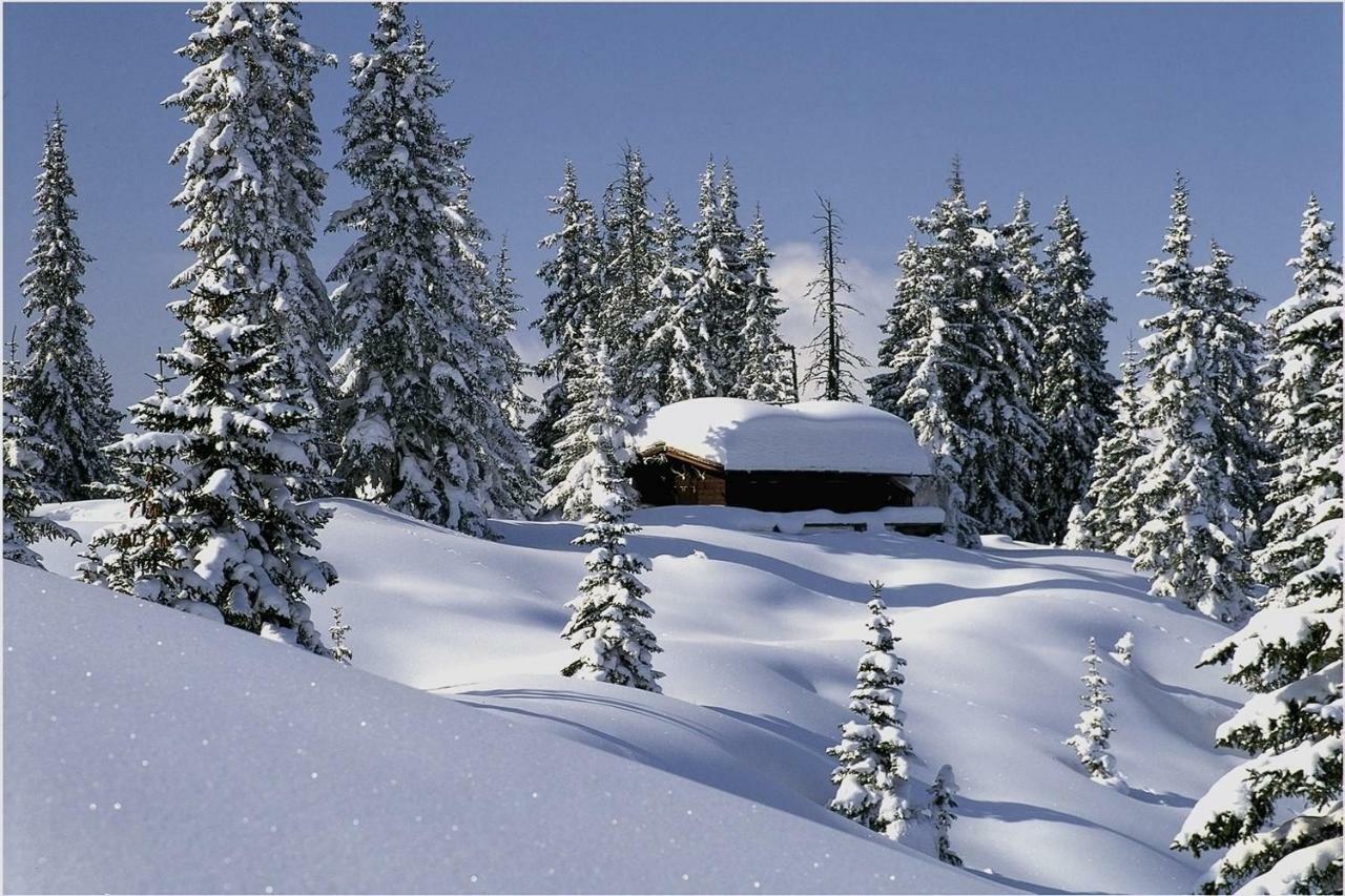 Haus Zur Kapelle Villa Sankt Gallenkirch Dış mekan fotoğraf